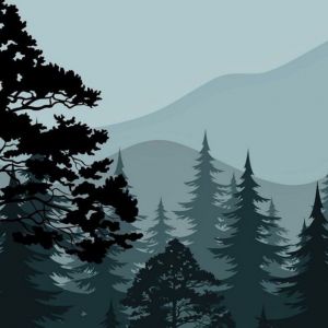 secret| https://kakaoqr.okrk.net